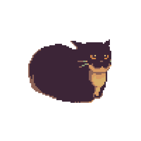 猫咪